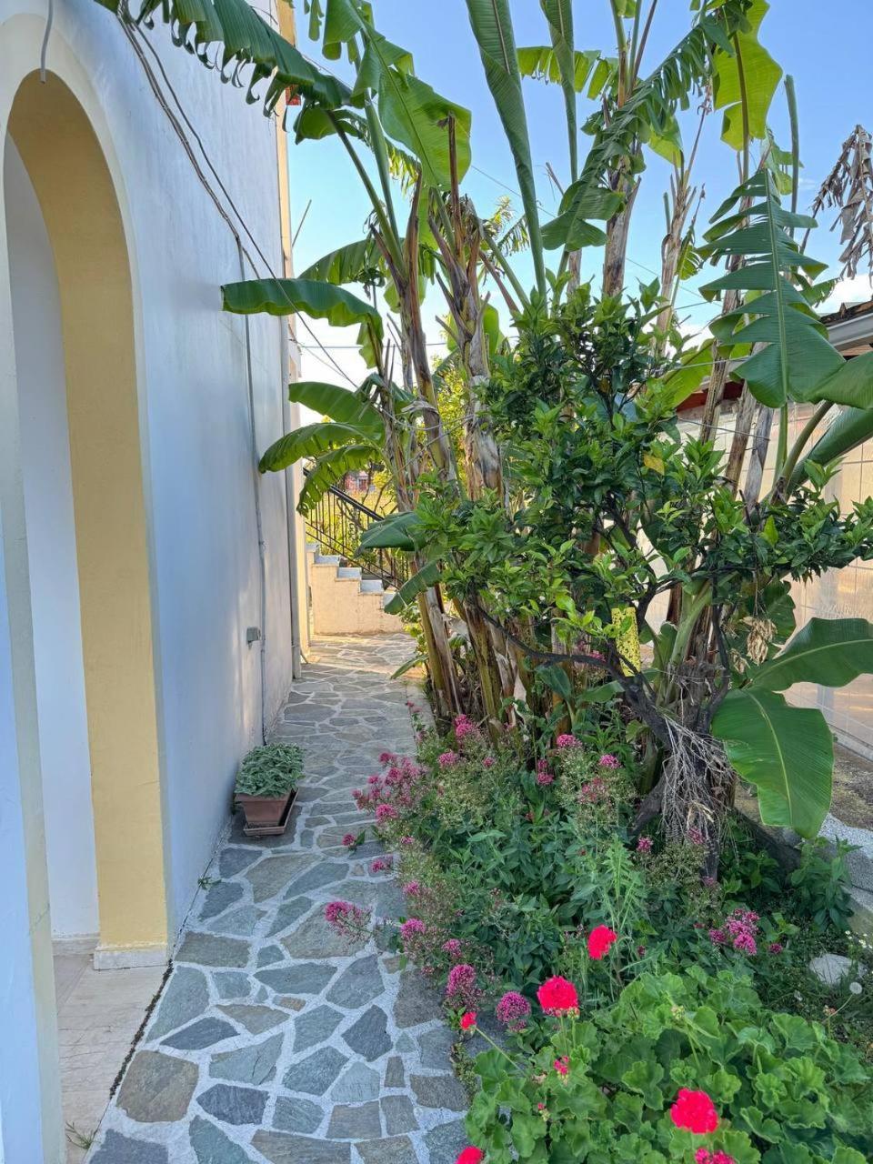 Gian Petro Apartments Sidari  Bagian luar foto